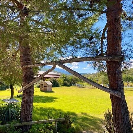 Agriturismo Su Niu Uta Zewnętrze zdjęcie
